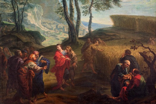 Les épis arrachés le jour du sabbat