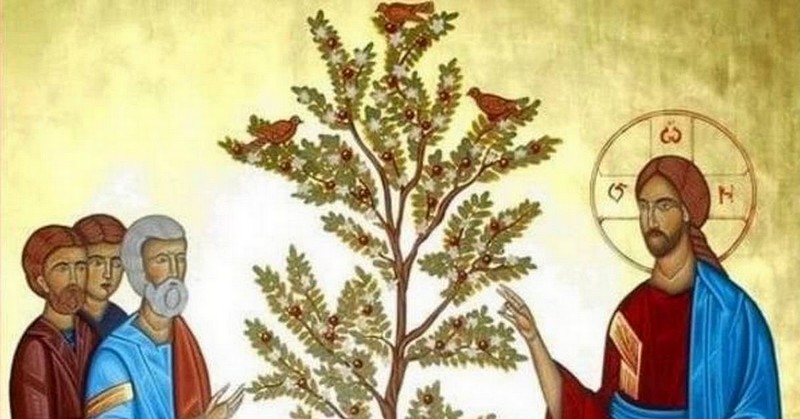 La parabole du grain de sénévé